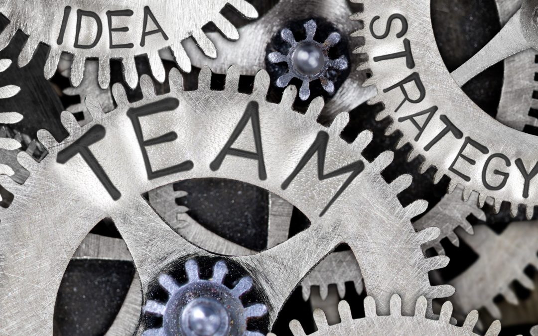 Leading High Value Creating Teams