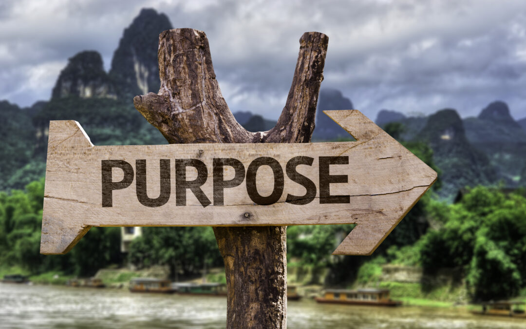 The secret to a successful career