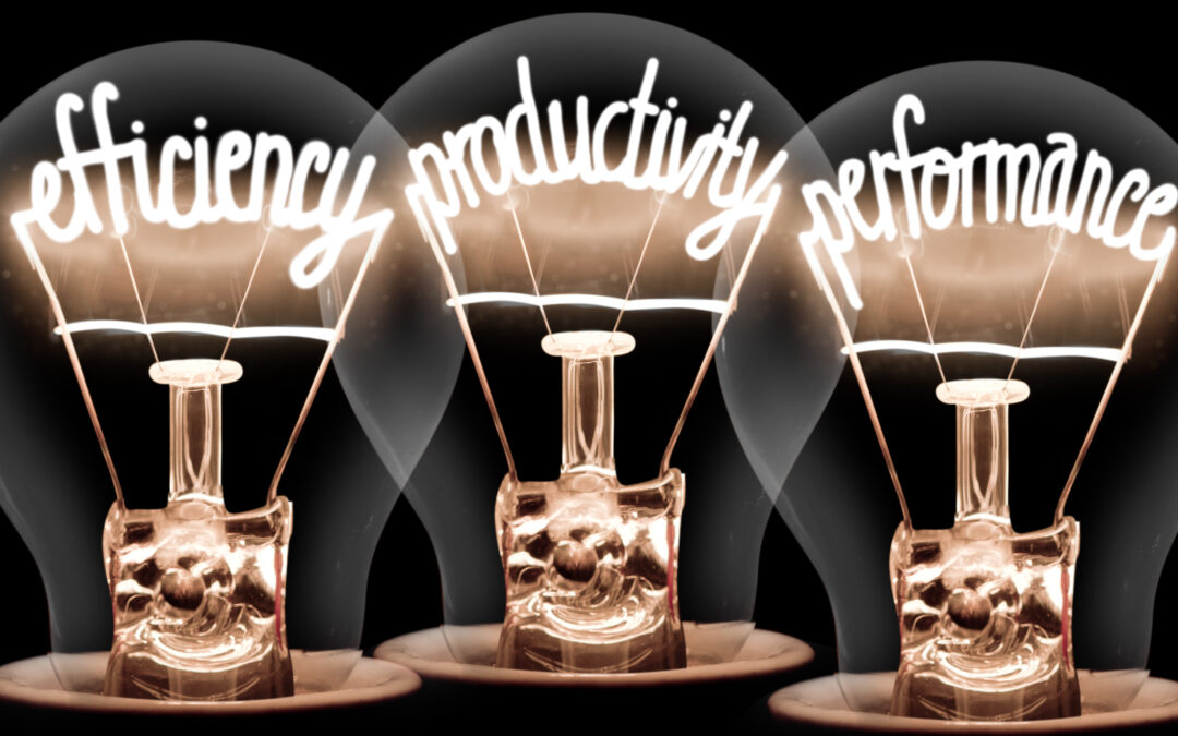 The Best CEOs Win on Habit, Not Capability